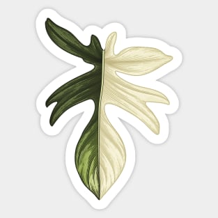 Philodendron Florida Beauty Big Leaf Sticker